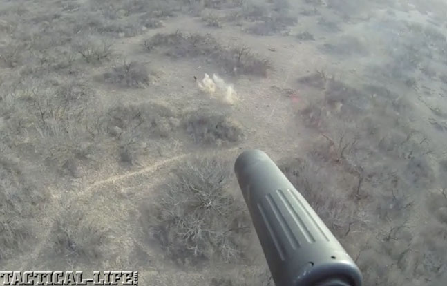 Coyotes ACC MPW Carbine hunt