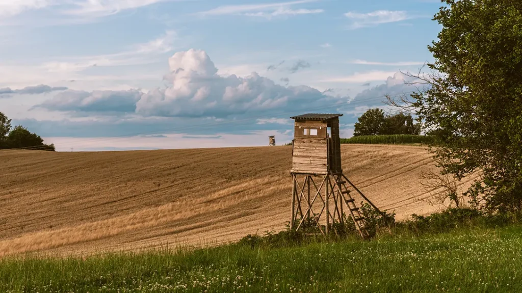 Using an elevated blind for deer hunting.