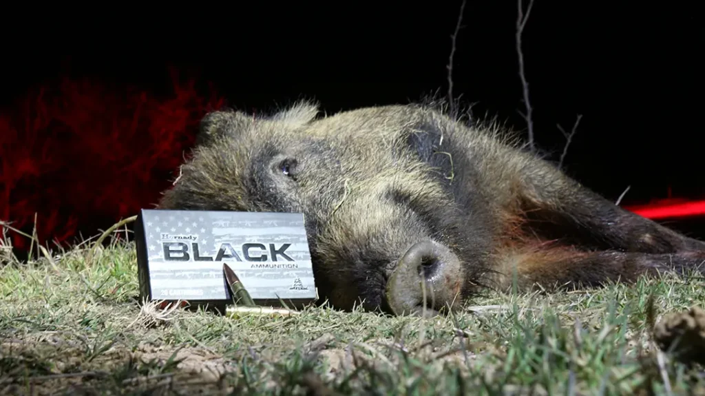 Hog down with Hornady Black in .338 ARC.