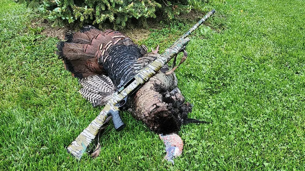 Bird down with the 20-gauge Tactical Turkey.