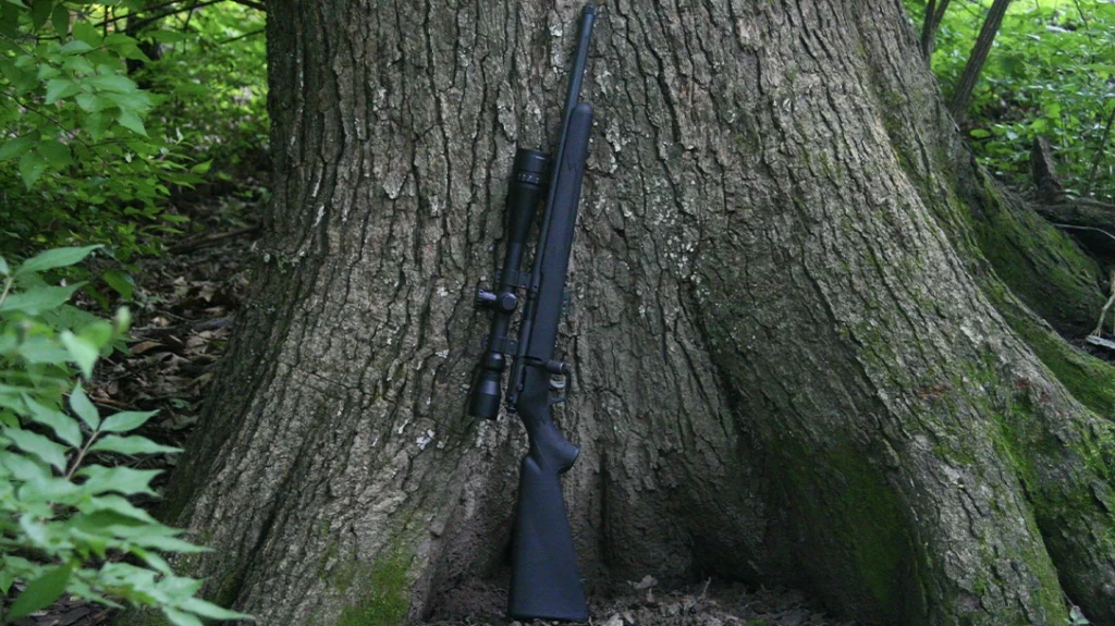 22 Rimfire rifle squirrel hunt