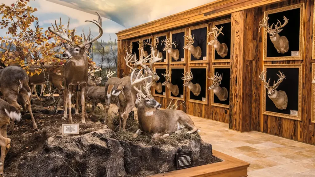 Johnny Morris’ Wonders of Wildlife National Museum.