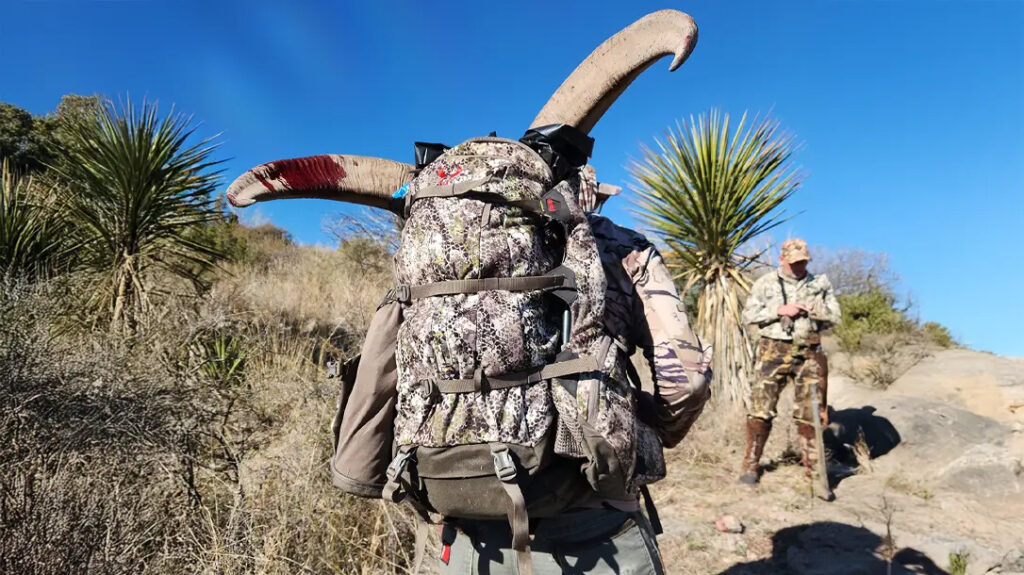 Guides will help you carry your animal out of the field.