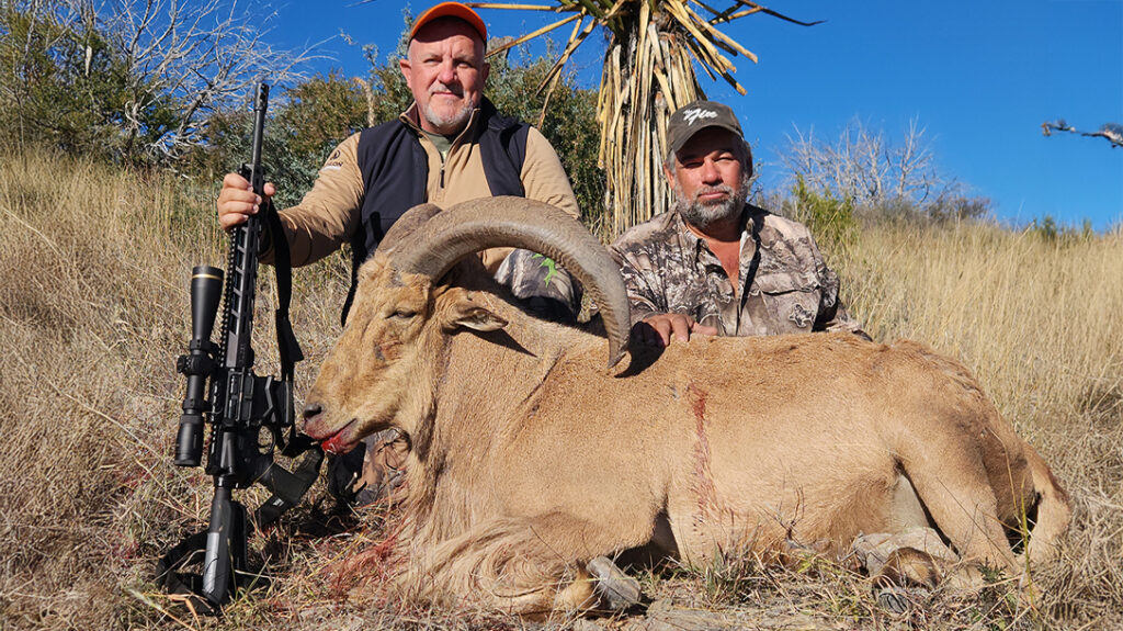 A guide will help you find and get a great animal.