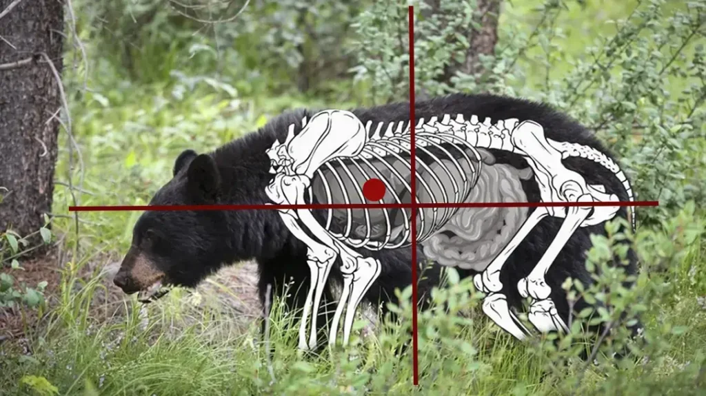 Try to get a double lung shot if possible.