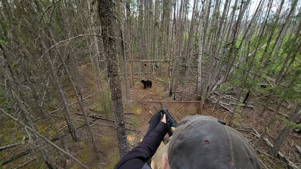 Bear Hunting 101