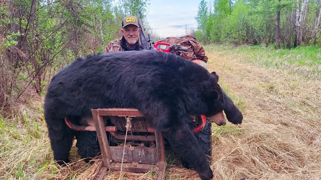 Bear Hunting 101 includes good shot placement.