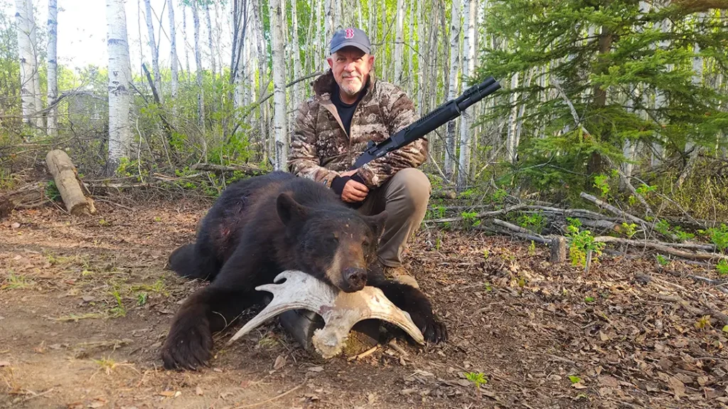 Black bears were almost extinct in the US before conservation efforts.