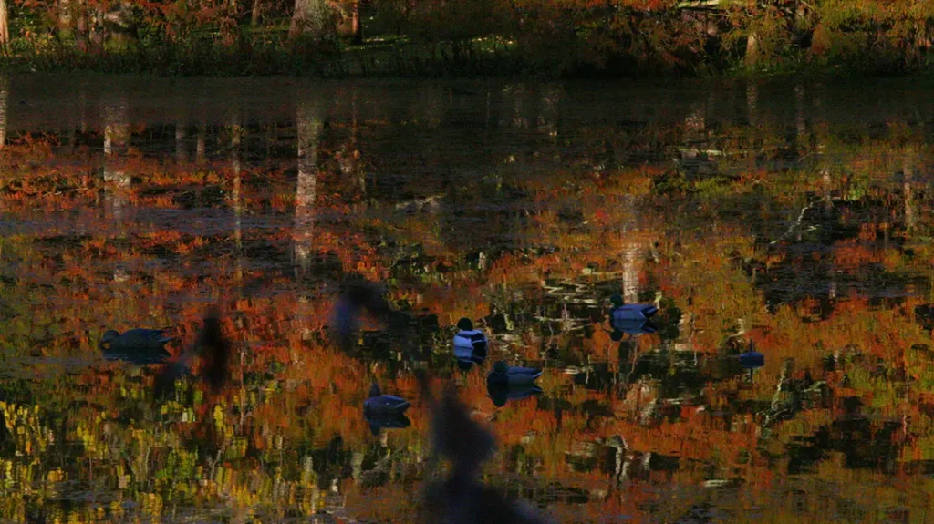 Downsizing the Gauge for Waterfowl has many benefits.