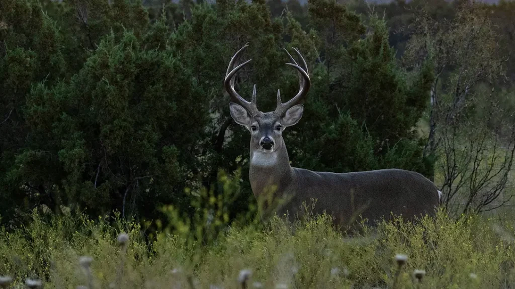 When it all comes together, November Madness is great.