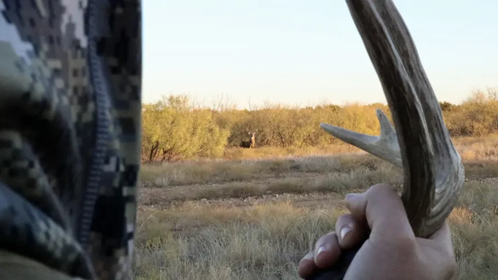 Never rattle on public lands.