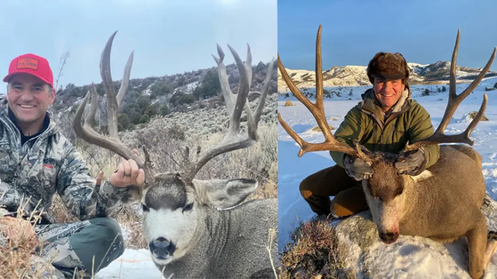 Poaching cost millions of dollars.