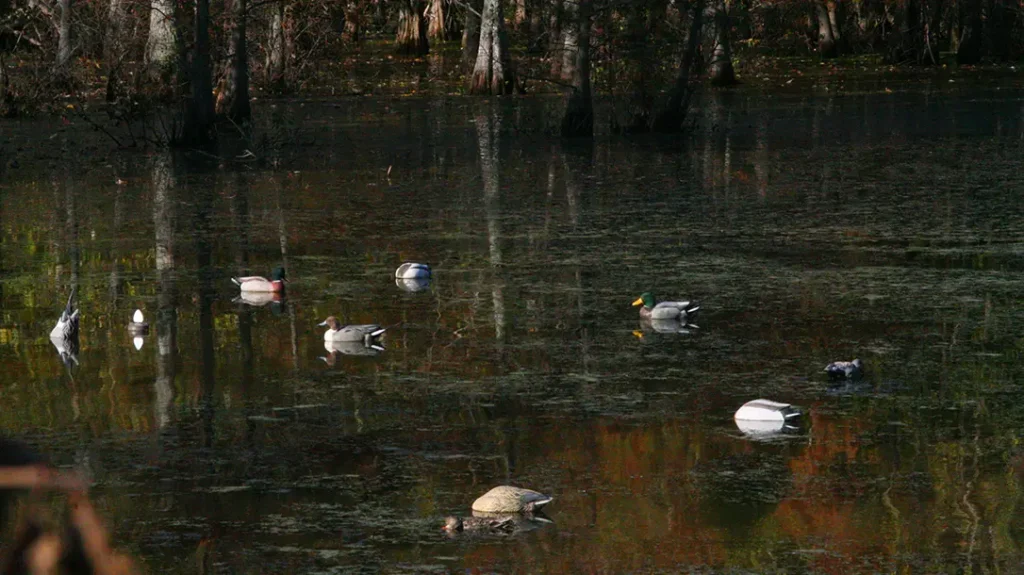 Winchester’s Last Call- Advanced Bird Shot.