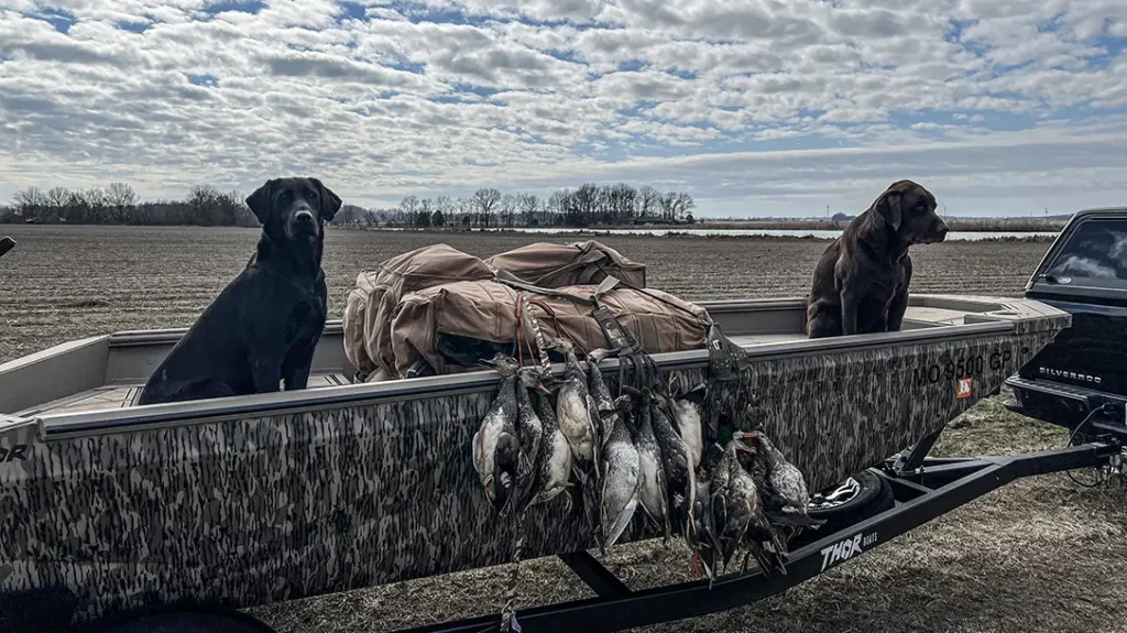 TSS -How We Got Here.