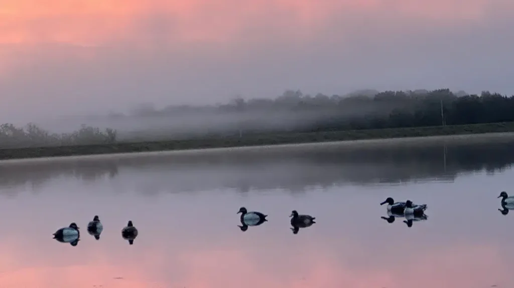 Winchester’s Last Call- A Game Changer?