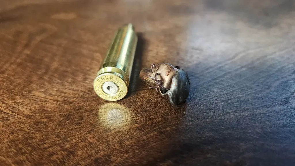 Hunting Scimitar Oryx