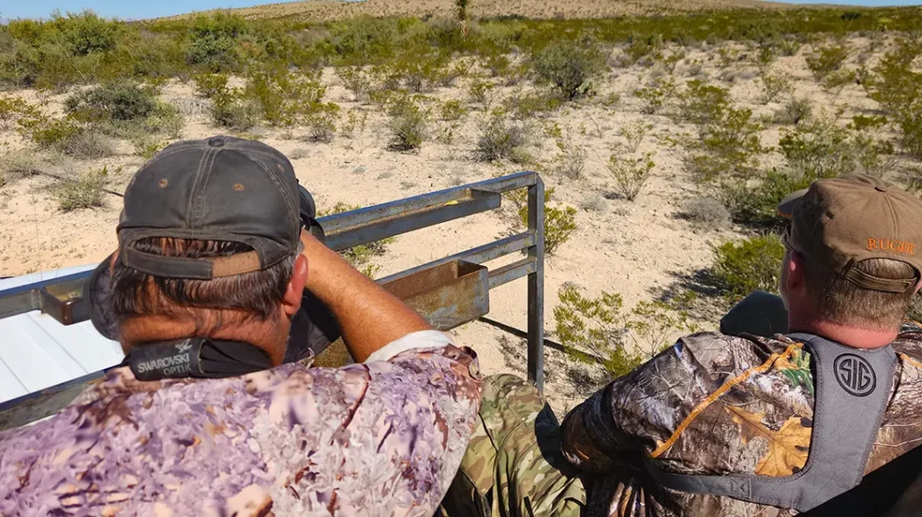 Hunting Scimitar Oryx