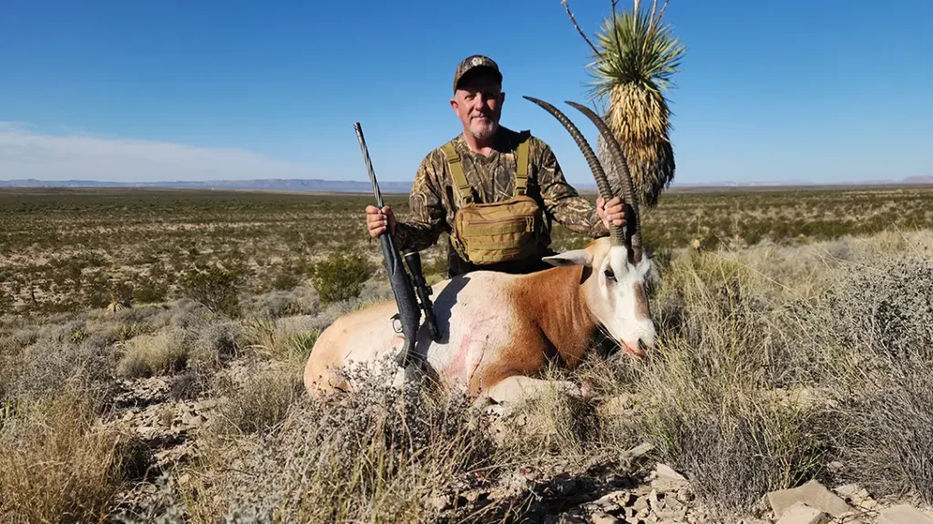 Hunting Scimitar Oryx