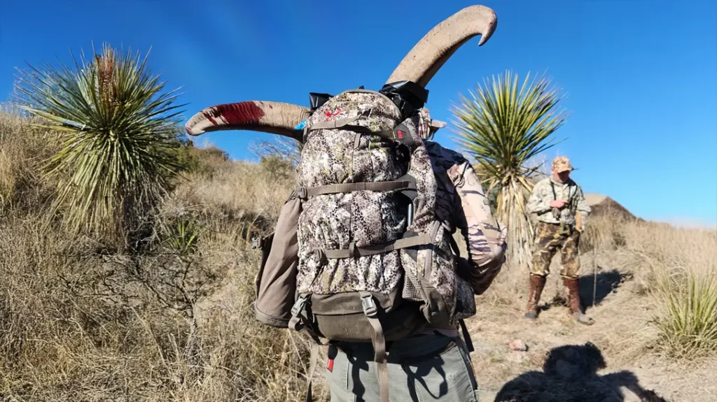 Chasing Aoudad