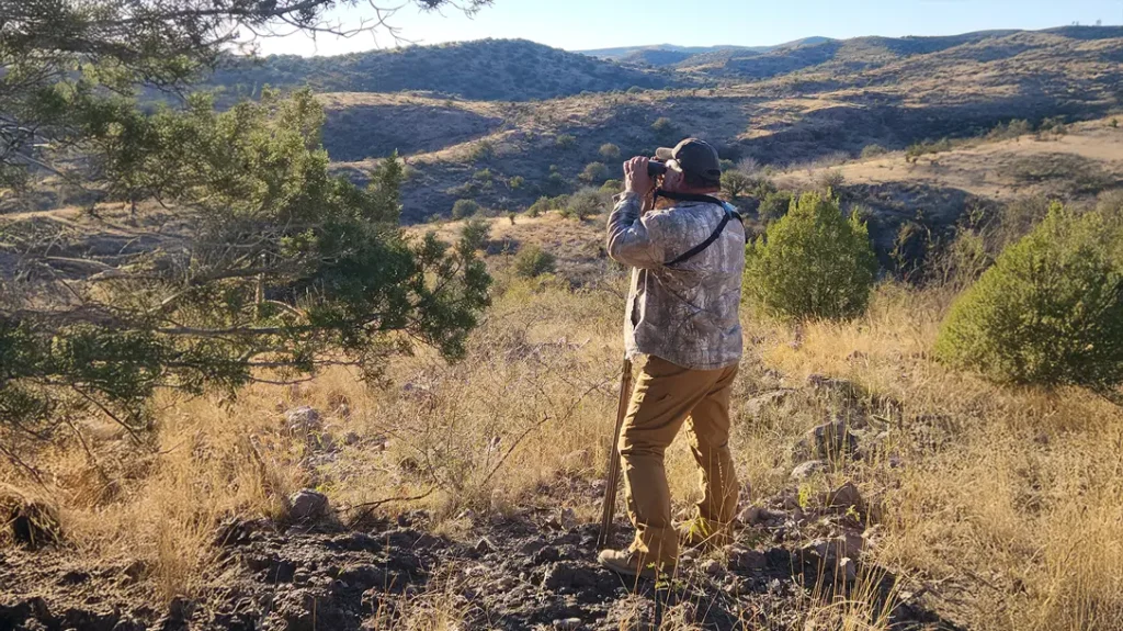 Chasing Aoudad