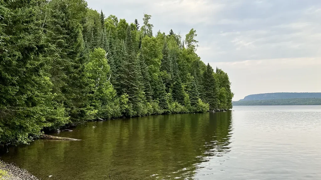 Chasing Trophy Brook Trout