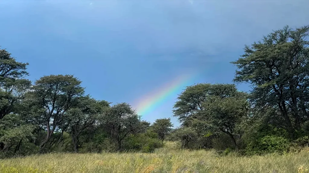 Out of the Comfort Zone - Hunting in South Africa.