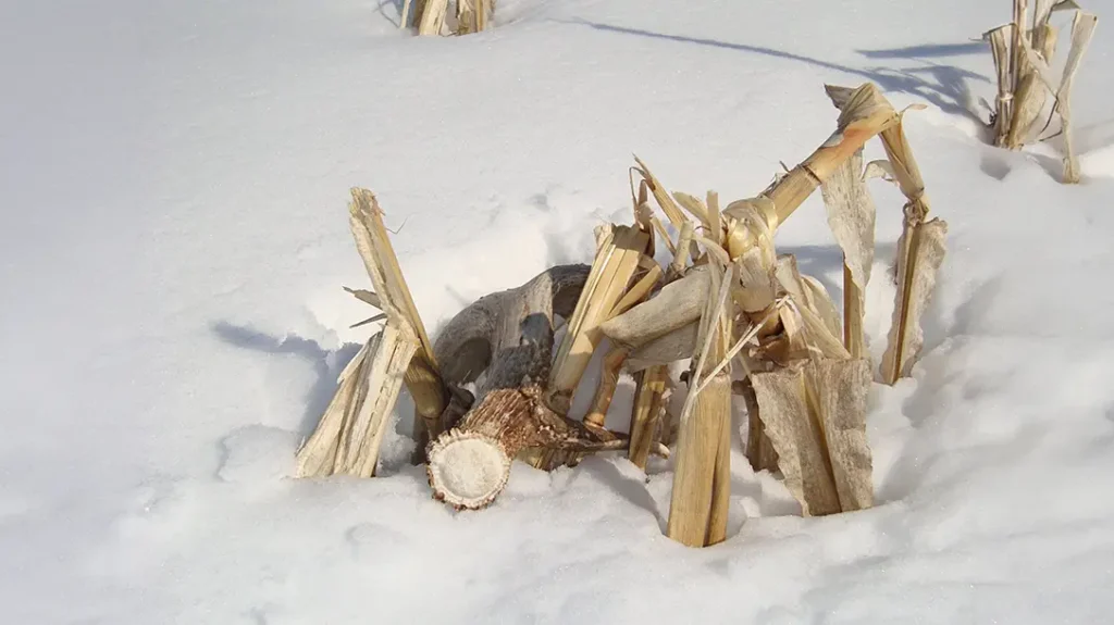 How to Build a Shed Hunting Map 