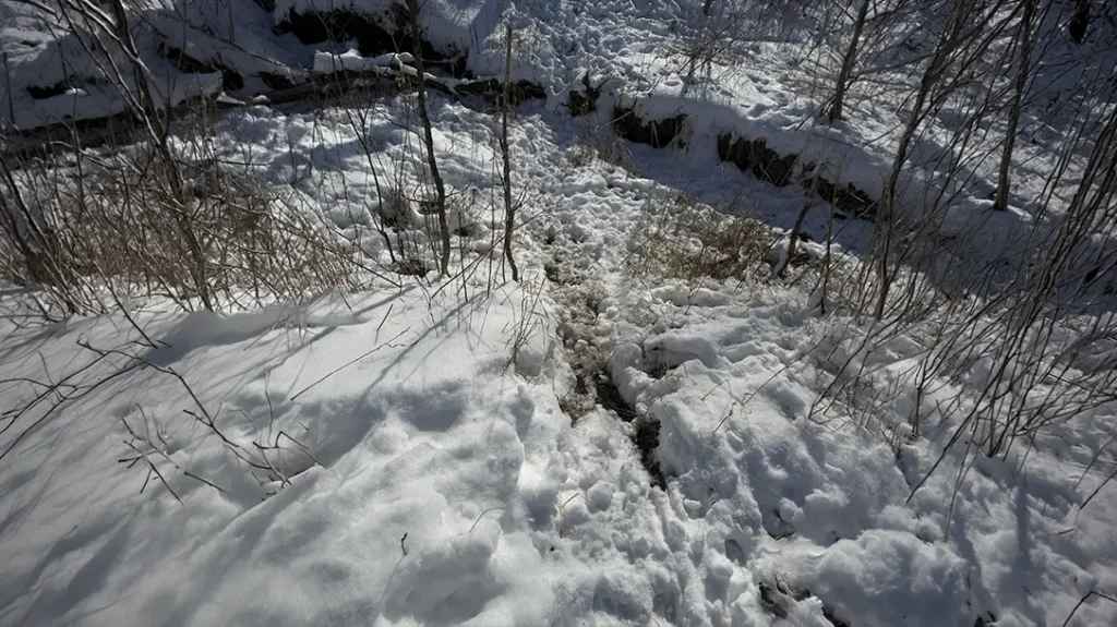 How to Build a Shed Hunting Map 