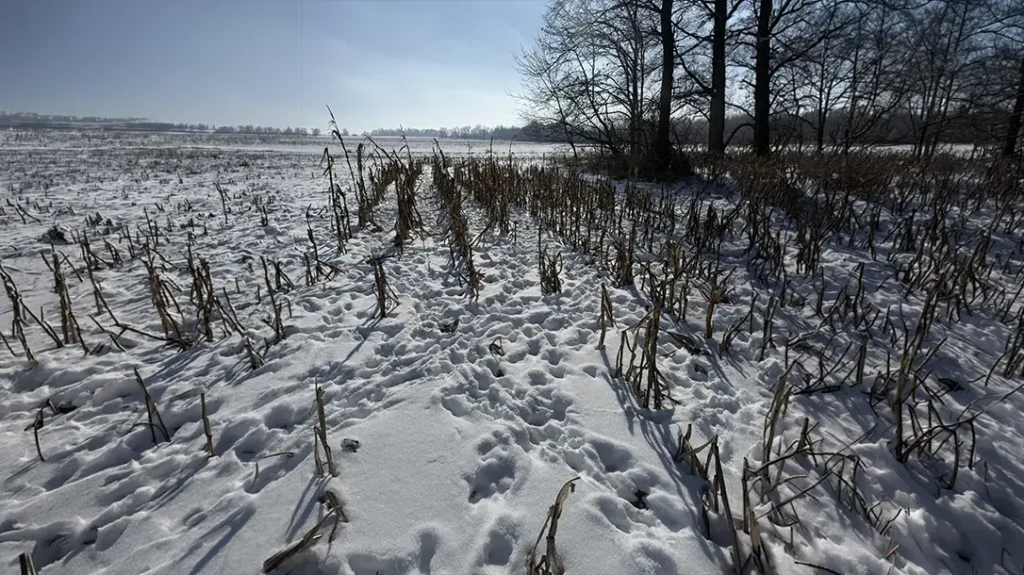 How to Build a Shed Hunting Map 