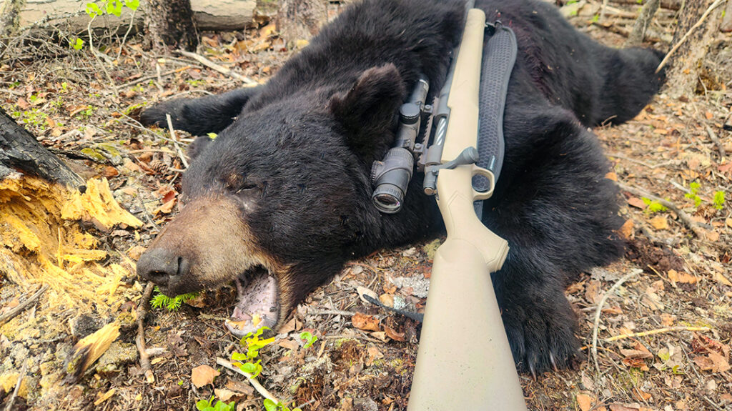 Hunting Marksmanship