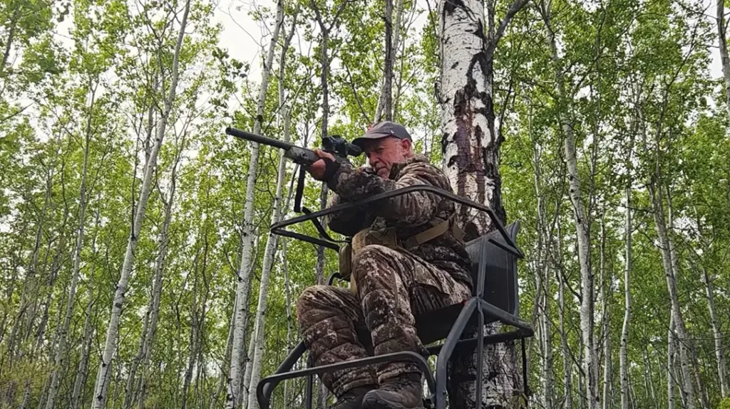 Spring Black Bear Hunt in Alberta, Canada