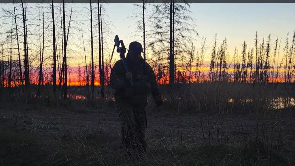 Spring Black Bear Hunt in Alberta, Canada