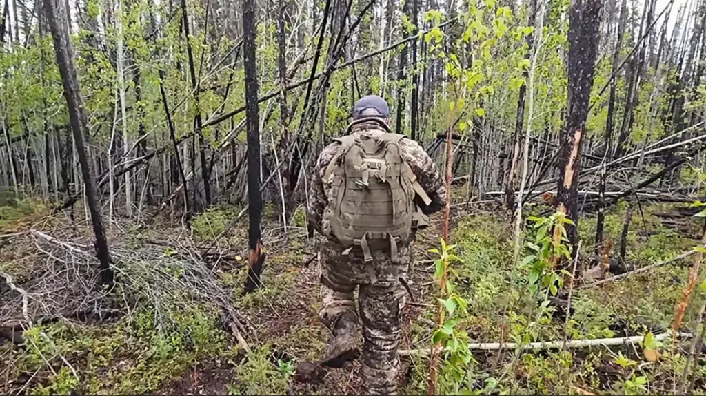 Spring Black Bear Hunt in Alberta, Canada