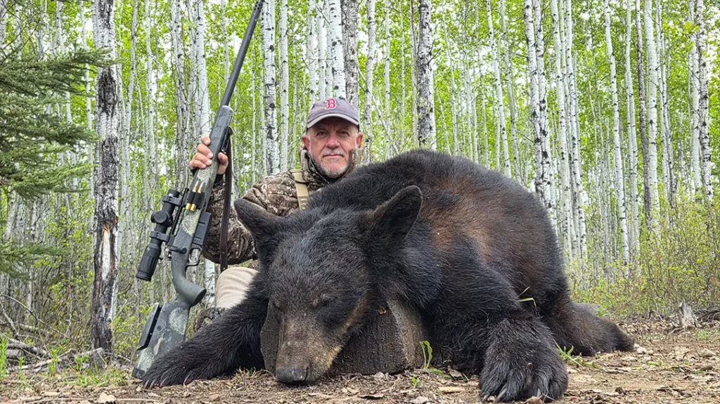 Spring Black Bear Hunt in Alberta, Canada