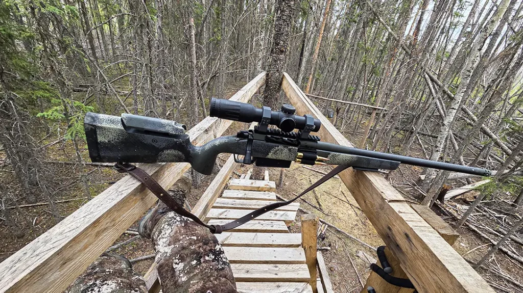 Spring Black Bear Hunt in Alberta, Canada