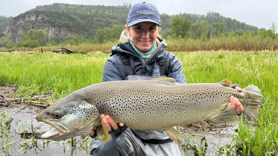 Georgia Angler Lands Pending Idaho Record Brown Trout Georgia Angler Lands Pending Idaho Record Brown Trout
