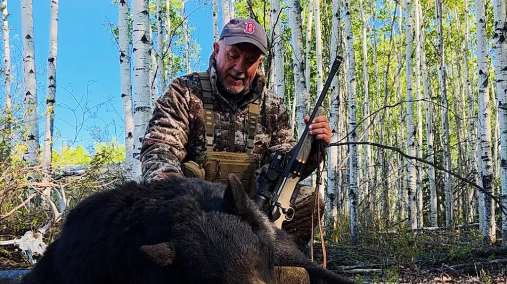 Hunting Black Bears in Alberta