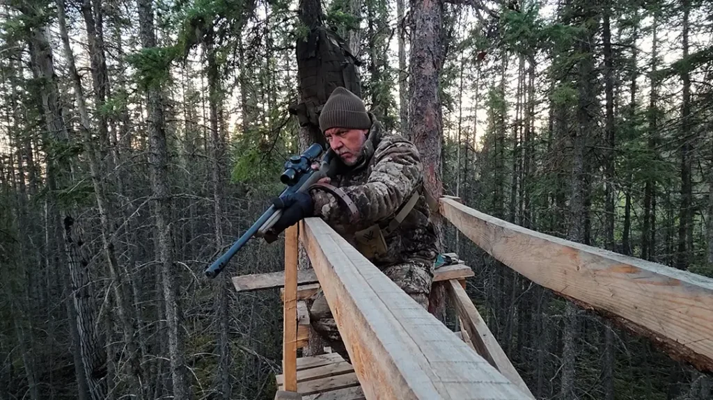 Hunting Black Bears in Alberta