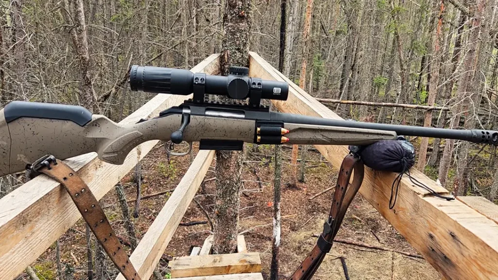 Hunting Black Bears in Alberta