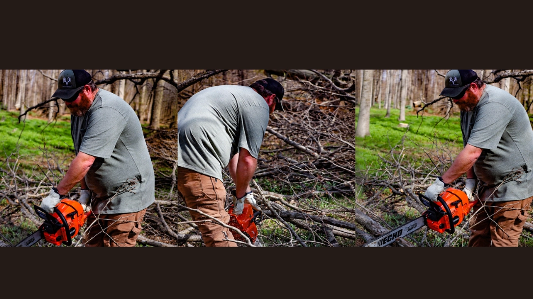 Improve Deer Habitat with Summer Chainsaw Work Improve Deer Habitat with Summer Chainsaw Work